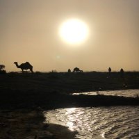 🌺May Alenazi (@maaysaleh) Twitter profile photo