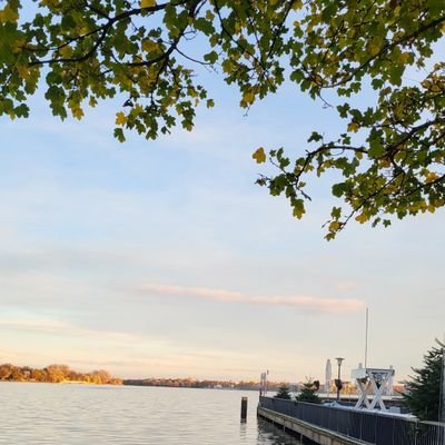 Naghamalshaaban's profile picture. 