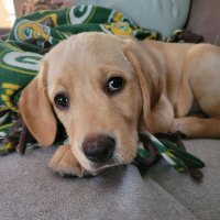 Tugglife (@tugglife1) 's Twitter Profile