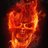 FireDawgBengal's profile image