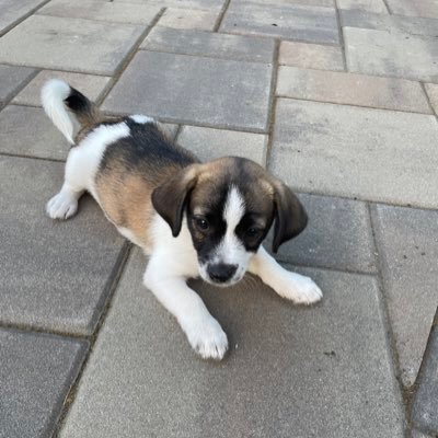 William38387865's profile picture. 