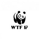 Allison Mosley - @Allie_Mosley - Twitter