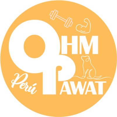 Peruvian Fanclub dedicated to @ohmpawatt 🧡 #ohmpawat #ยิ้ม5พันของโอมภวัต