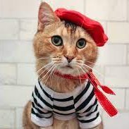 LK_Langs's profile picture. Languages, South Leics