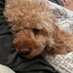 Greg Clark (@cla02441656) Twitter profile photo Greg Clark (@cla02441656) Twitter profile photo