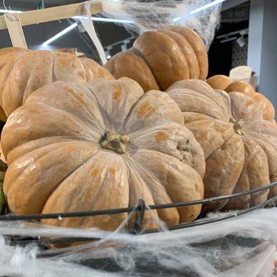 Older woman hiding behind a pumpkin, because we’re not supposed to have an opinion. Left of centre, but politically homeless