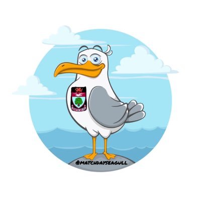 MatchDaySeagull's profile picture. These Posts Are My Own & Not Of Colwyn Bay FC                                       Insta - @MatchDaySeagull