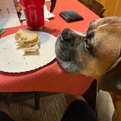 Nostrilcavity's profile picture. Just tryin to get by in this screwy world!