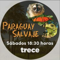 Paraguay Salvaje(@ParaguaySalvaje) 's Twitter Profile Photo