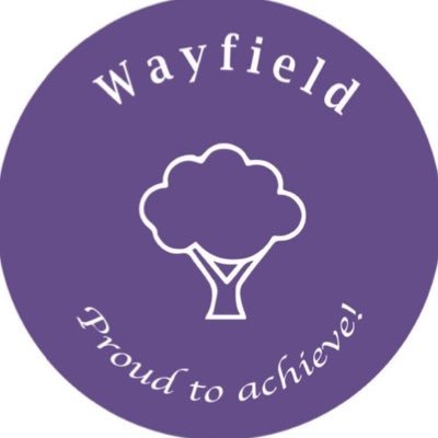 Wayfield aspires everybody to be ‘Proud to Achieve’. This is through our values of Adventure, Joy, Lifelong Learning, Resilience and Teamwork