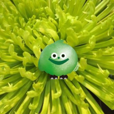 ヴィンテージ復刻 Reeeちゃん♡ | www.birbapet.it