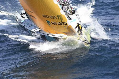 edibaum's profile picture. my travels, my passion