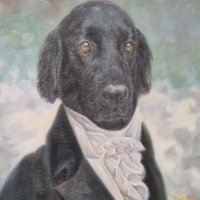 David #FBPE @Snyberwiz @BlackDrongo.bsky.social (@snyberwiz) 's Twitter Profile