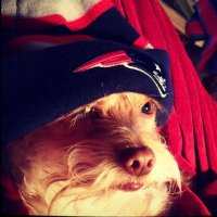 Francis in Glendale (@tfpwilleat) 's Twitter Profile