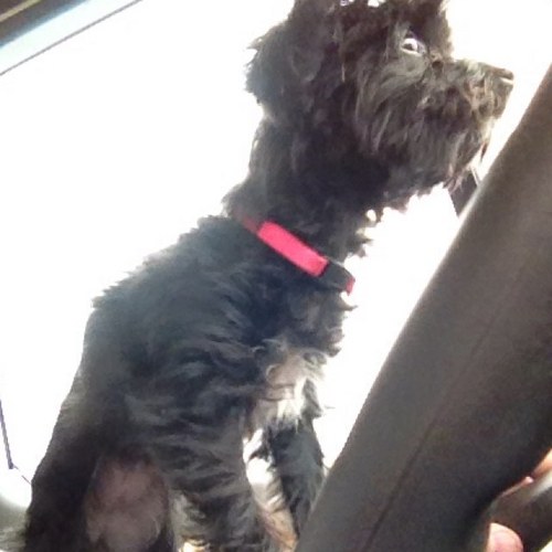 dwatson838's profile picture. 