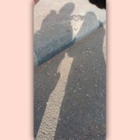 Wafaa Essam✨ (@wafaaes54515165) Twitter profile photo