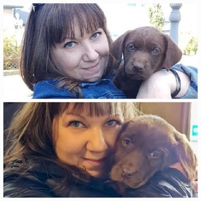 CamsLabs18's profile picture. Mom and Grandma. I am owned by the best 2 chocolate labs ever. Wasn't anti Vax before 2020 but I sure am now.