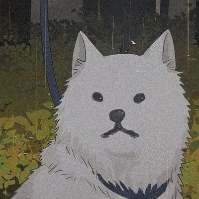 daiitutu's profile picture. 18a
SP-ZL
#studytwt