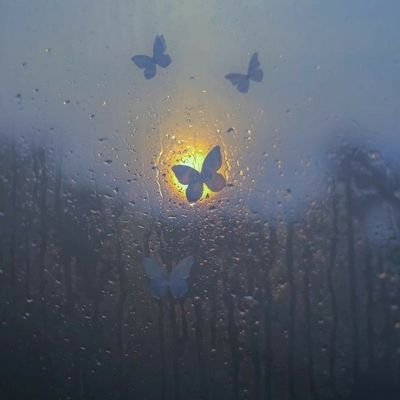 Leilarmi213's profile picture. 