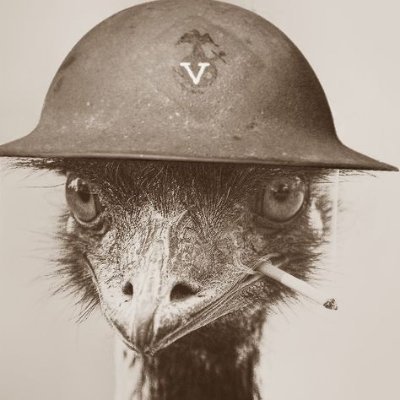 Emu War Veteran