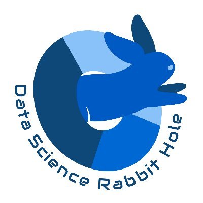 DSRabbitHole's profile picture. The Data Science Rabbit Hole is here to educate and entertain about data science.