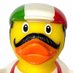 confused Italian ducks (@confusedducks) Twitter profile photo