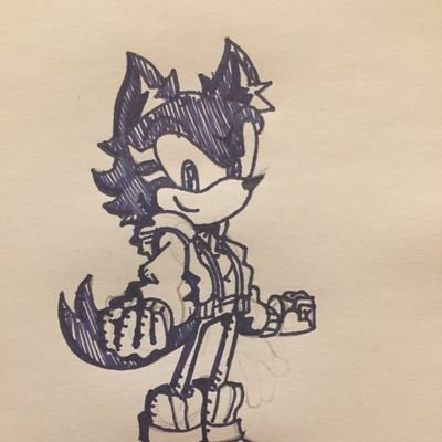 Hi i'm Leon, Leon Prower but most just refer to me as Leon the Wolf. Older brother to Miles Tails Prower and professional boyfriend to @Sonadowfangirl6