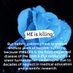 Carbonara - #ME/CFS #ChronicallyIgnored (@bettinafightsme) Twitter profile photo Carbonara - #ME/CFS #ChronicallyIgnored (@bettinafightsme) Twitter profile photo