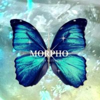 MORPHO-モルフォ🦋(@morpho_regin_ac) 's Twitter Profileg