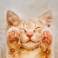 WA (@paradig8521) 's Twitter Profile
