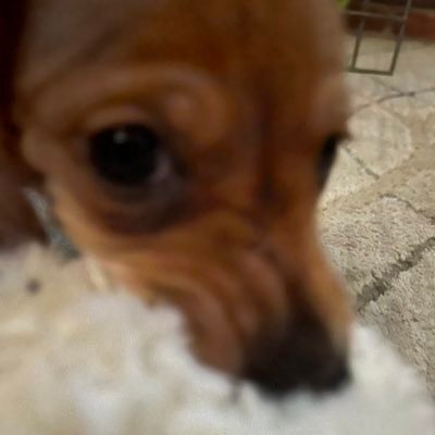 Wilddestroyer2's profile picture. 