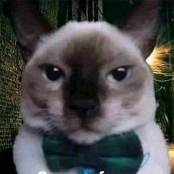 Diego_CP17's profile picture. 