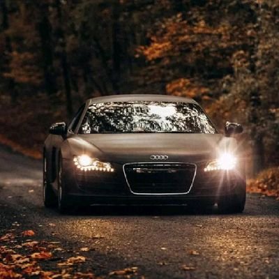 Saqibchandia09's profile picture. 