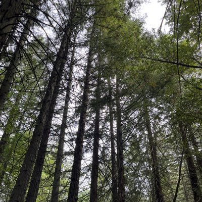 thoma369's profile picture. 