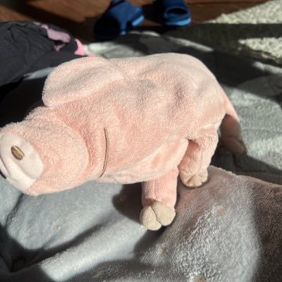 koehifukunishi's profile picture. 