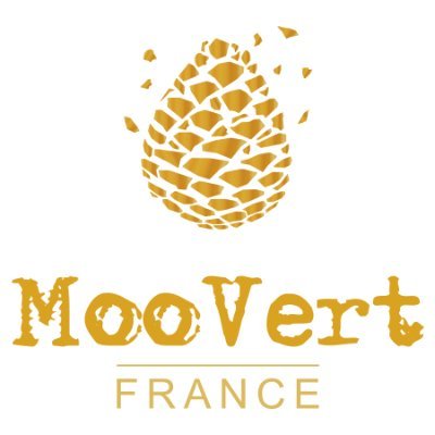 MooVert est une nouvelle plateforme web qui propose une expérience touristique française authentique et responsable
