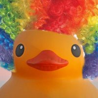 TheDeath0fDucks (@thedeath0fducks) 's Twitter Profile