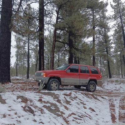 RobertoCamilo79's profile picture. 