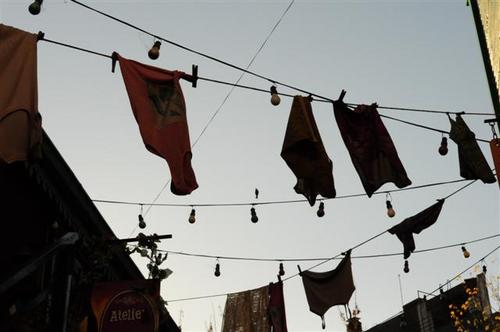 bleu_fleur's profile picture. 