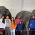 elephants4life (@elephants4life4) Twitter profile photo elephants4life (@elephants4life4) Twitter profile photo