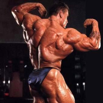 GravitySlap's profile picture. Power lifters only