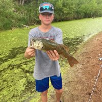 Rhett Bellamy (@bellamyrhett) 's Twitter Profile