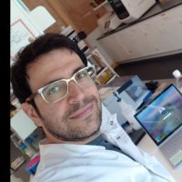 Soren Seifi, PhD (@sorenseifi) 's Twitter Profile