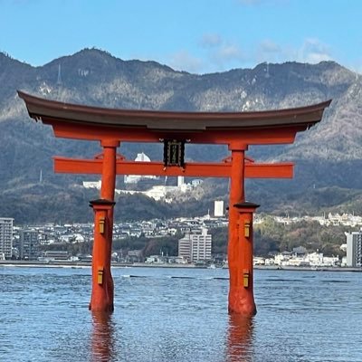 Jokul3's profile picture. 食べ物日記とあとカード。 MTG judge L2・ティーチングマイスター らいぶが生きがい。 今はchevon行きたい…