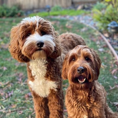 JuliePr92985475's profile picture. 