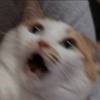 SucesoJay's profile picture. 