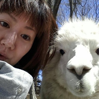 犬(🐷？)7ぴきと生きています(6ぴきになりました😭)好きな酒米は亀の尾。元ABRI店主。昔プロレスヲタ、元モータースポーツ取材してた人。毎年マカオGP行ってた人。今は日本酒ゴーアラウンド金沢の中の人。犬のおやつやさん。金沢生まれ、本籍地は能登(全壊と半壊で更地)。榛葉幹事長推し。人生永久自由人。