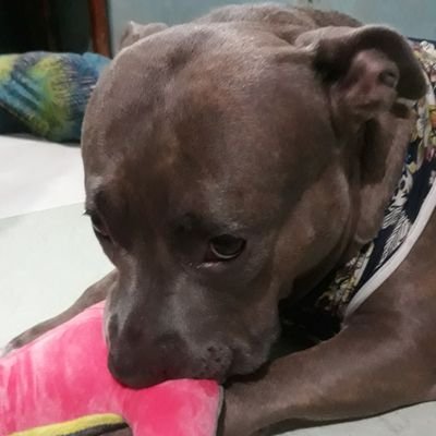 RGuillyermo's profile picture. 🇵🇭 🙆‍♀️
U&S