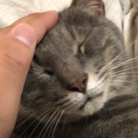 ่ใ้ใ๐ (@mightynyannyan) 's Twitter Profile