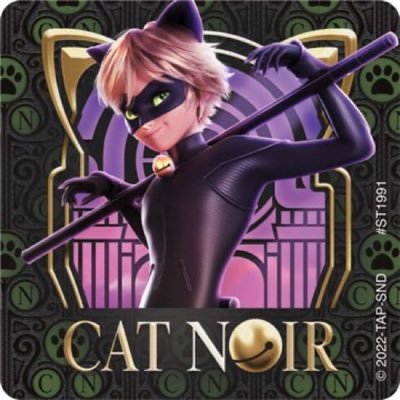 LADYBUG AND CHAT NOIR THE MOVIE